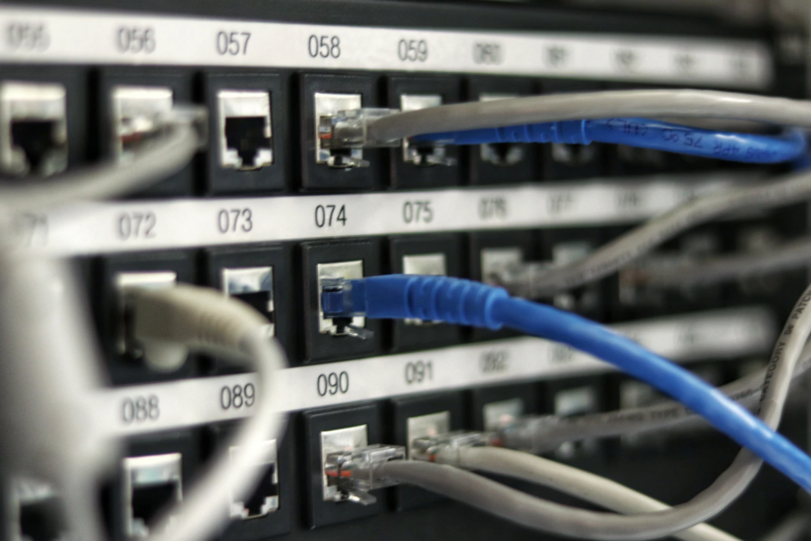 Blue and gray network cables plugged into a numbered patch panel