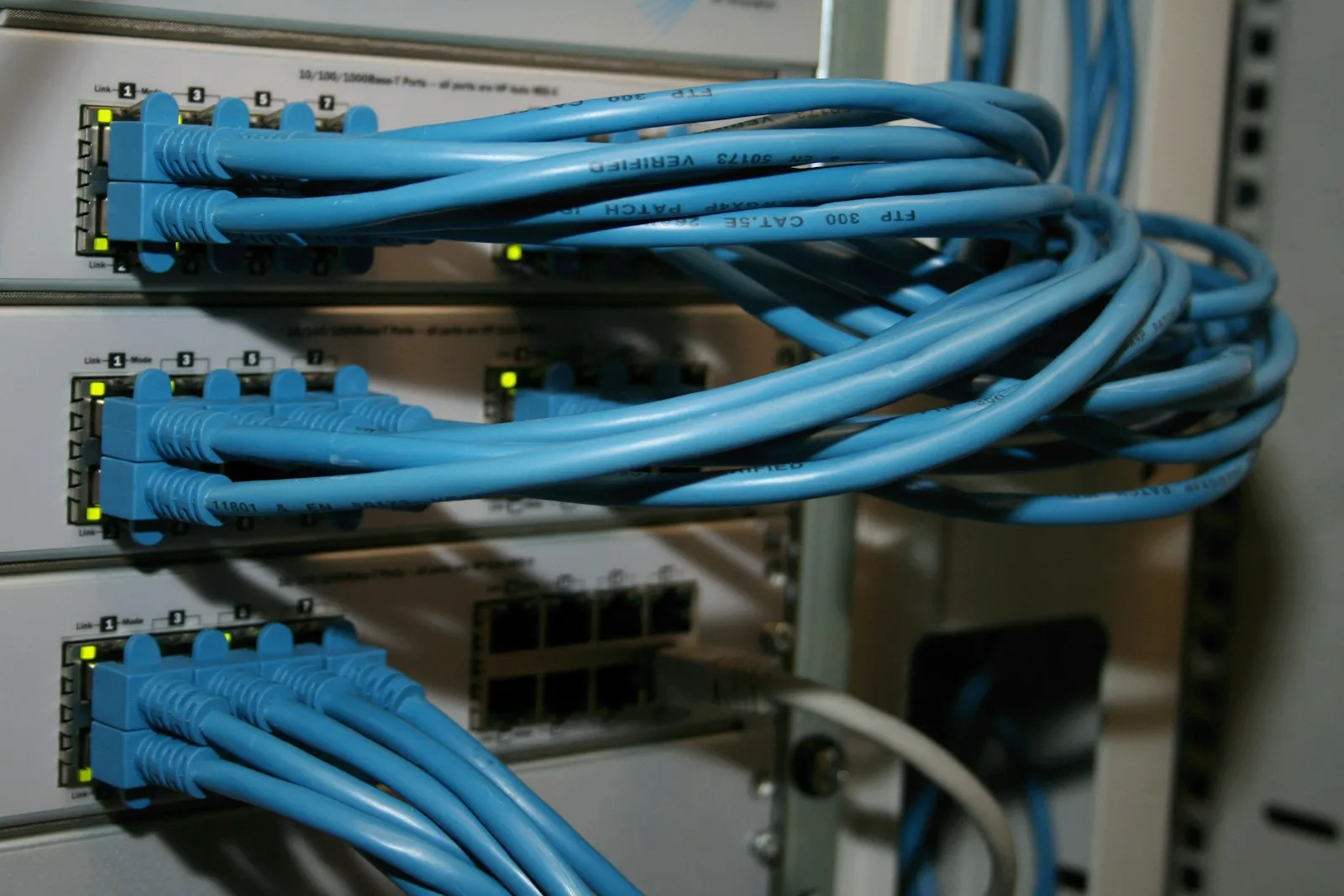 Blue network cables connected to a patch panel